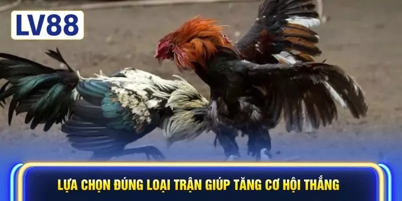 Lựa chọn đúng loại trận giúp tăng cơ hội thắng